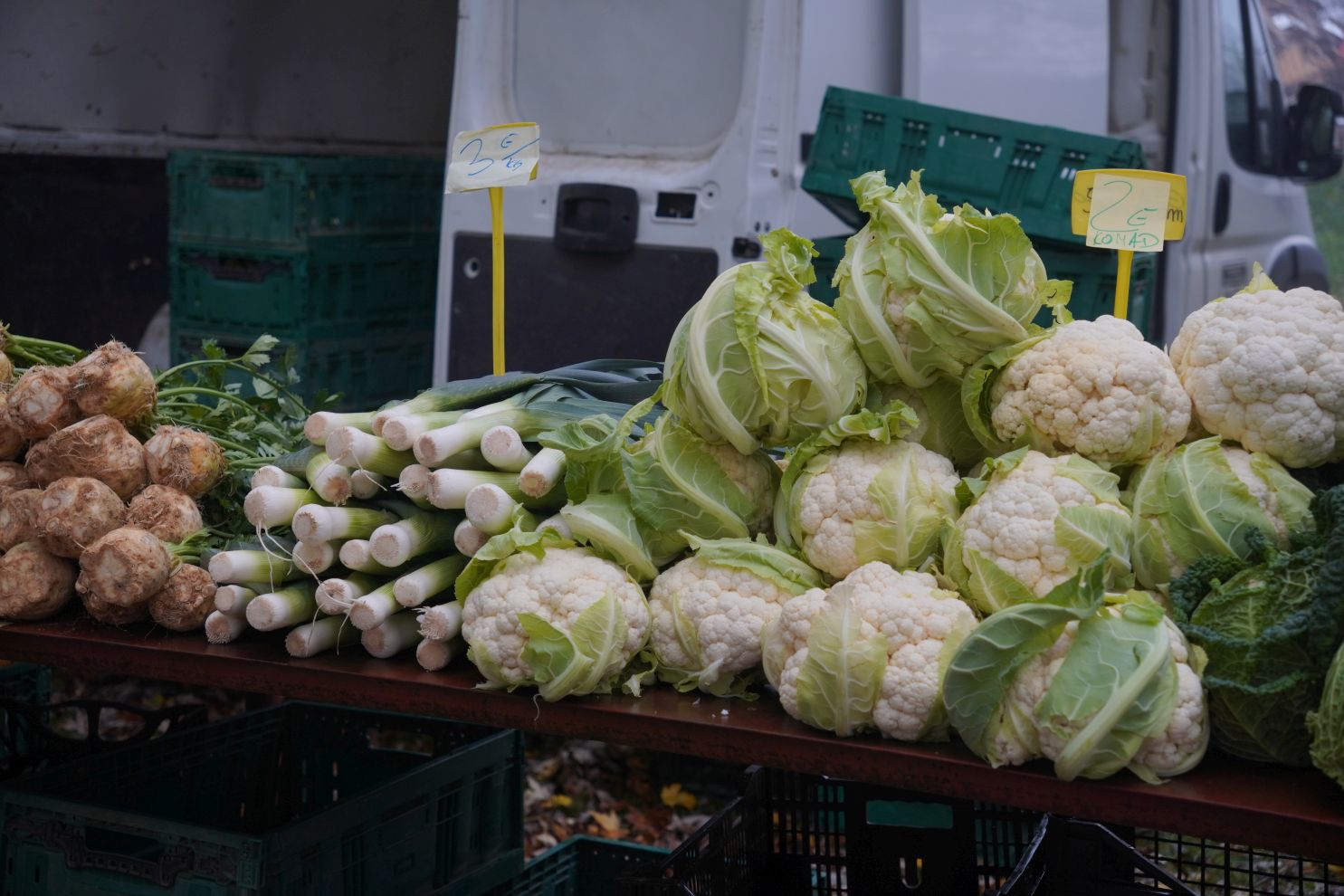 Sajam srijedom 12.11 (23)