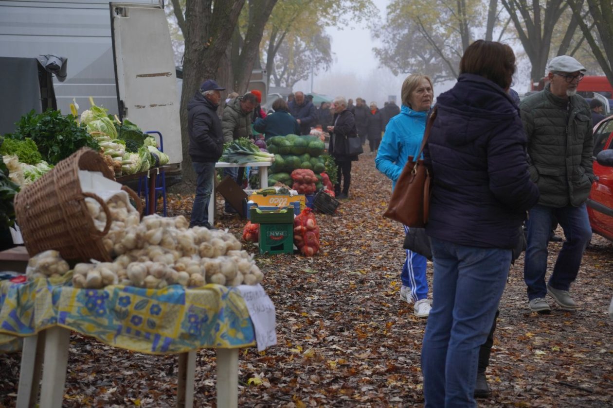 Sajam srijedom 12.11 (24)
