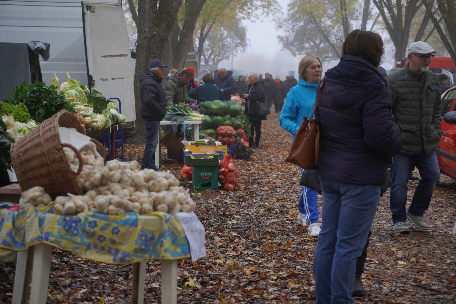 Sajam srijedom 12.11 (24)