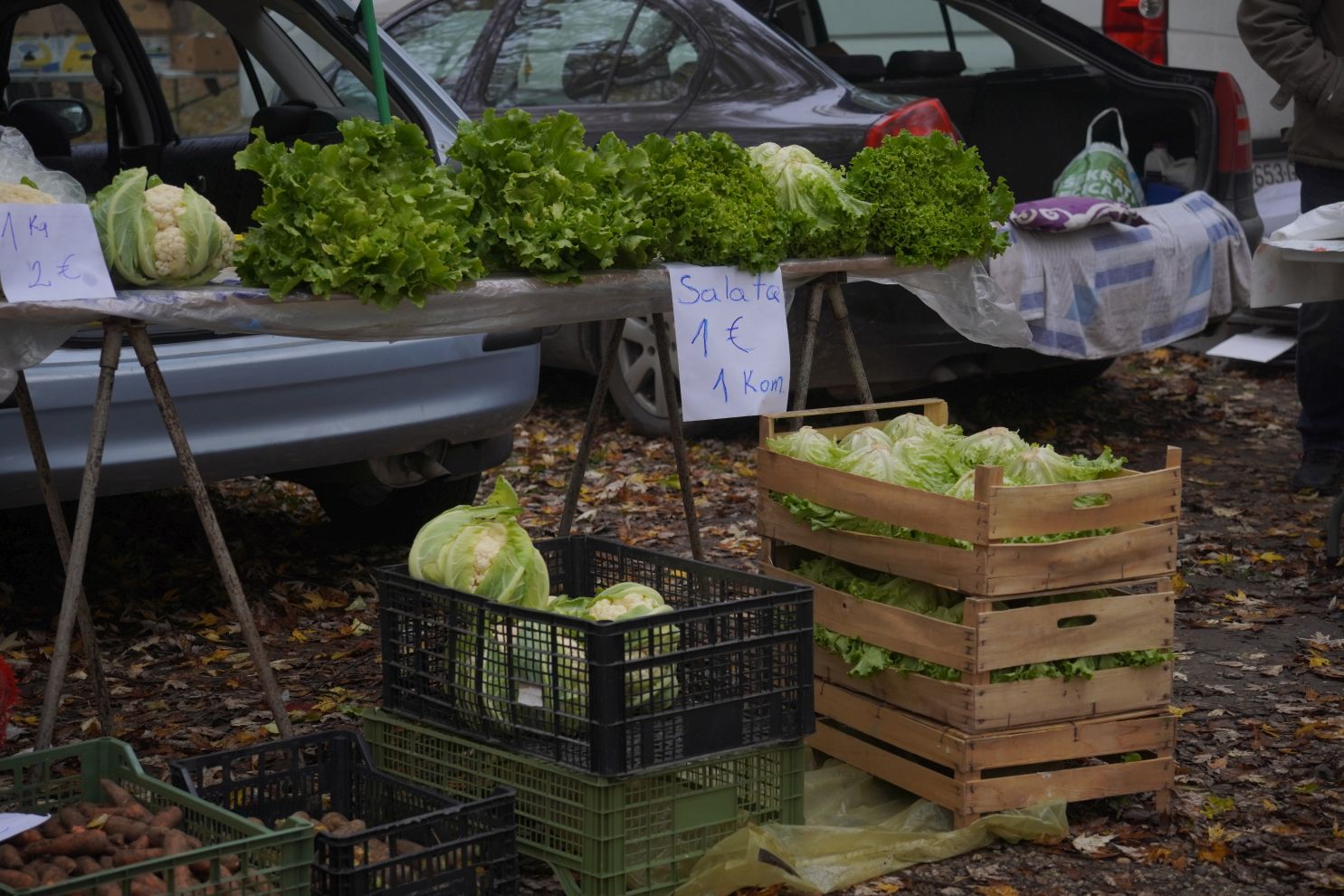 Sajam srijedom 12.11 (25)