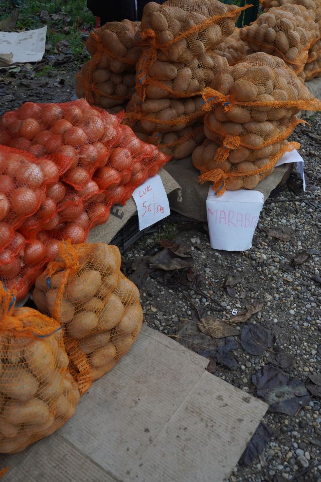 Sajam srijedom 12.11 (3)