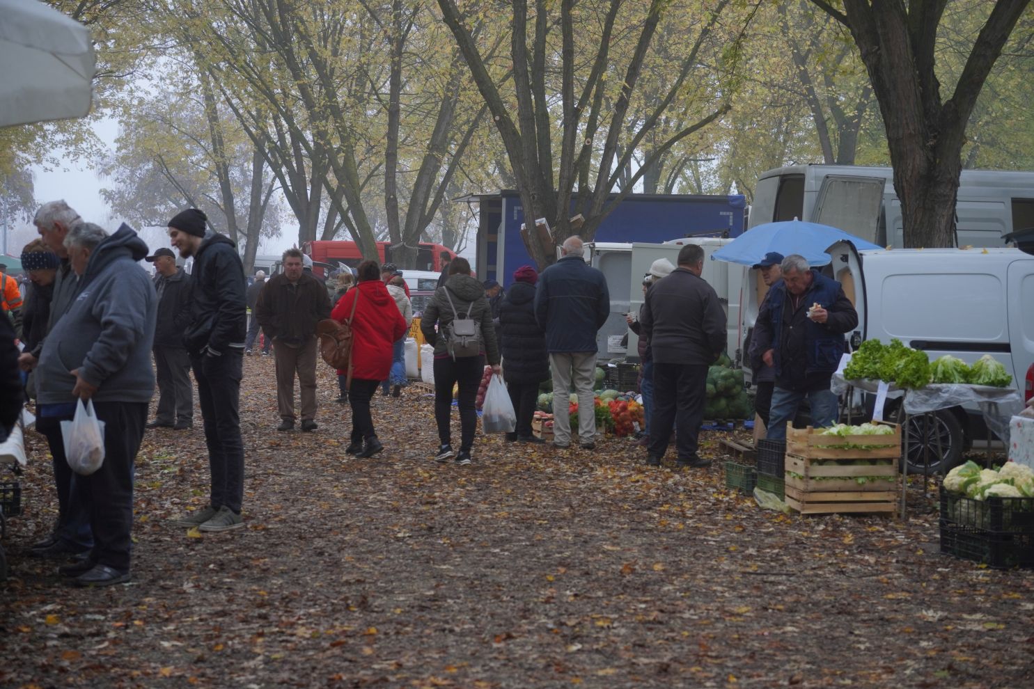 Sajam srijedom 12.11 (30)