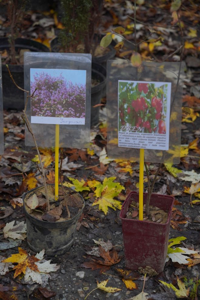 Sajam srijedom 12.11 (31)