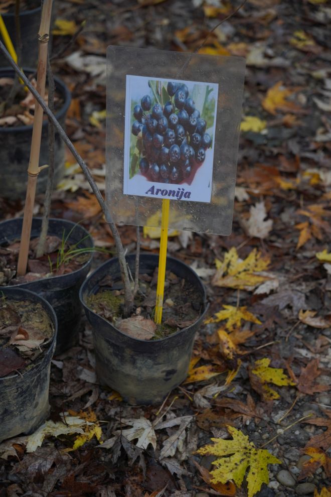 Sajam srijedom 12.11 (32)