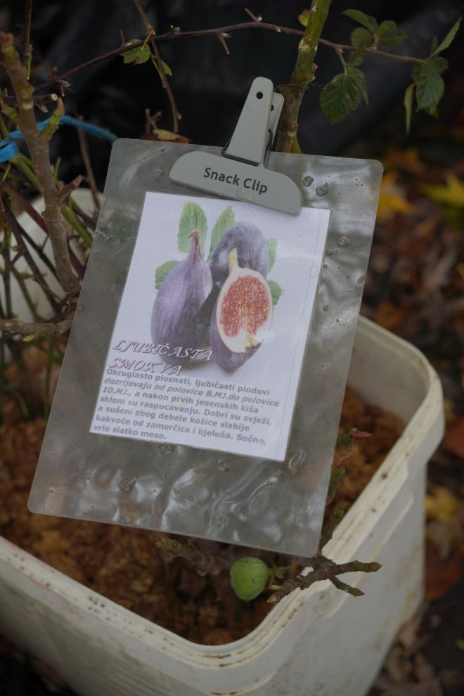 Sajam srijedom 12.11 (33)