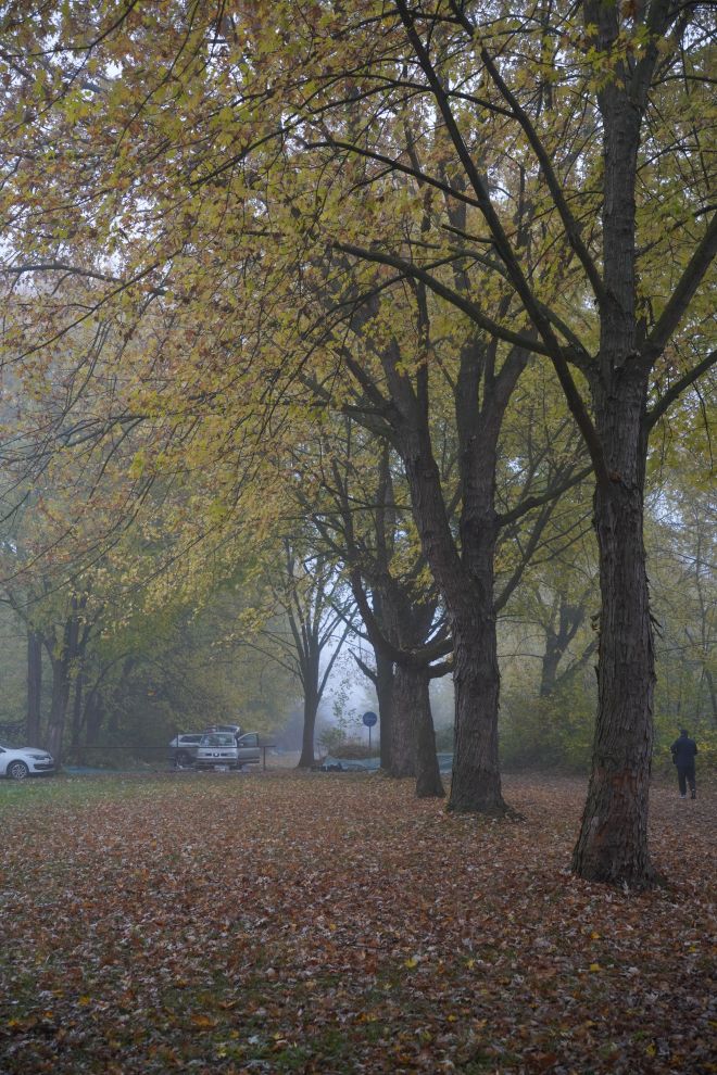 Sajam srijedom 12.11 (34)