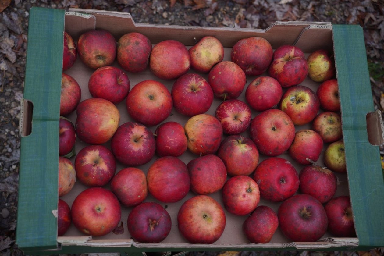 Sajam srijedom 12.11 (35)