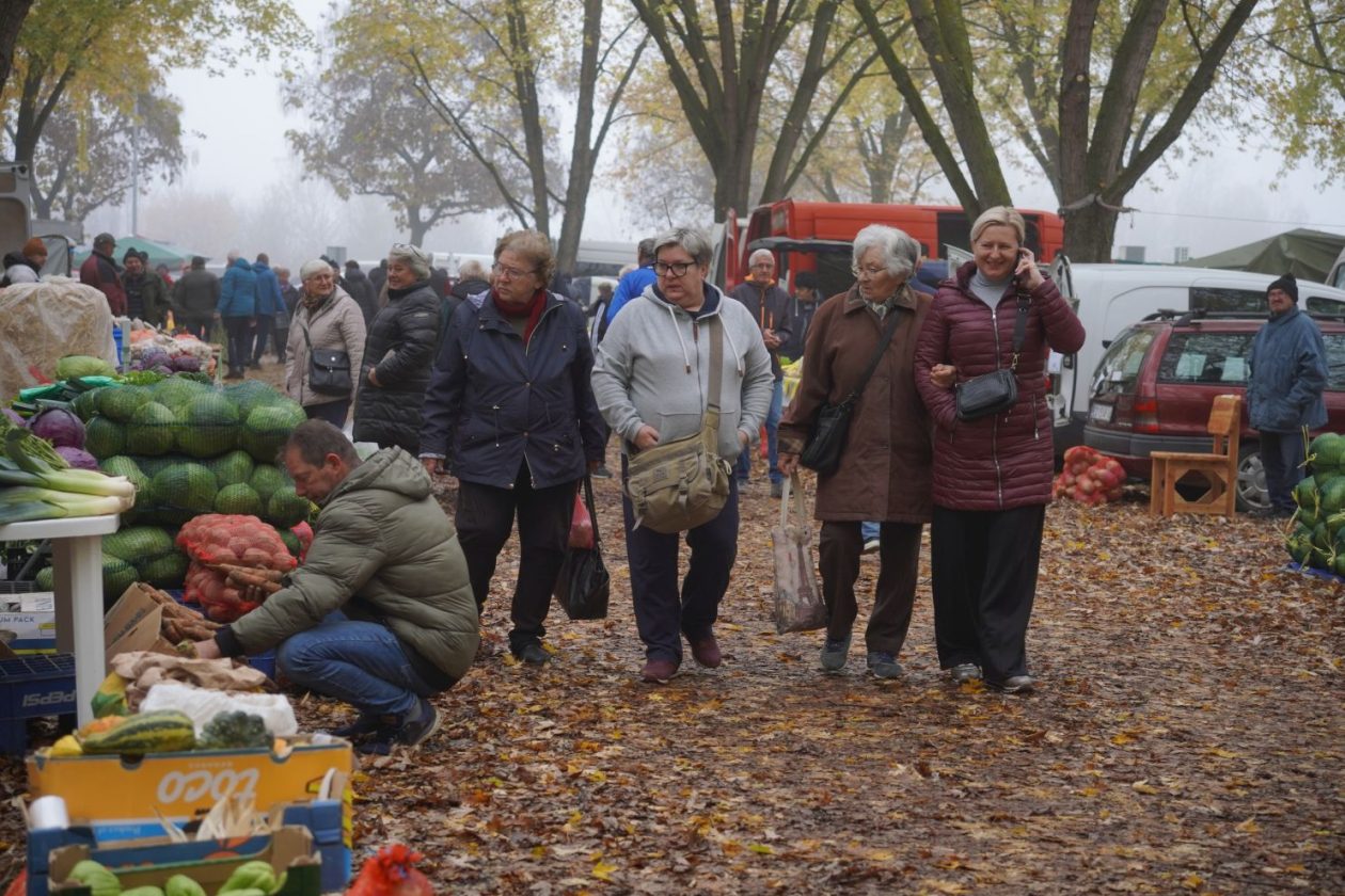 Sajam srijedom 12.11 (44)