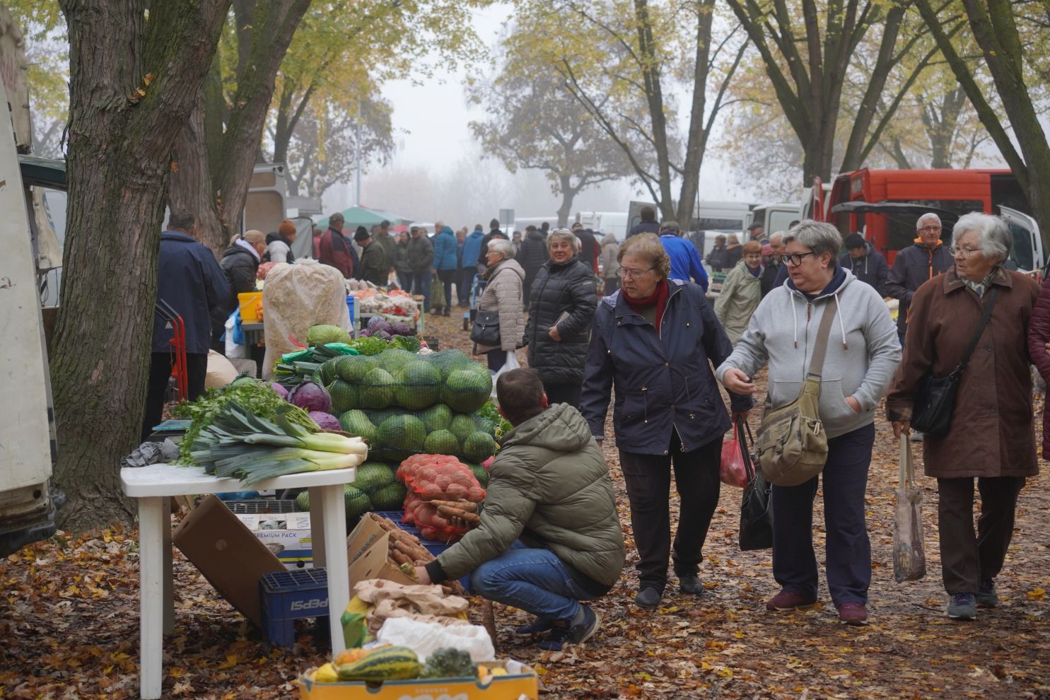 Sajam srijedom 12.11 (45)