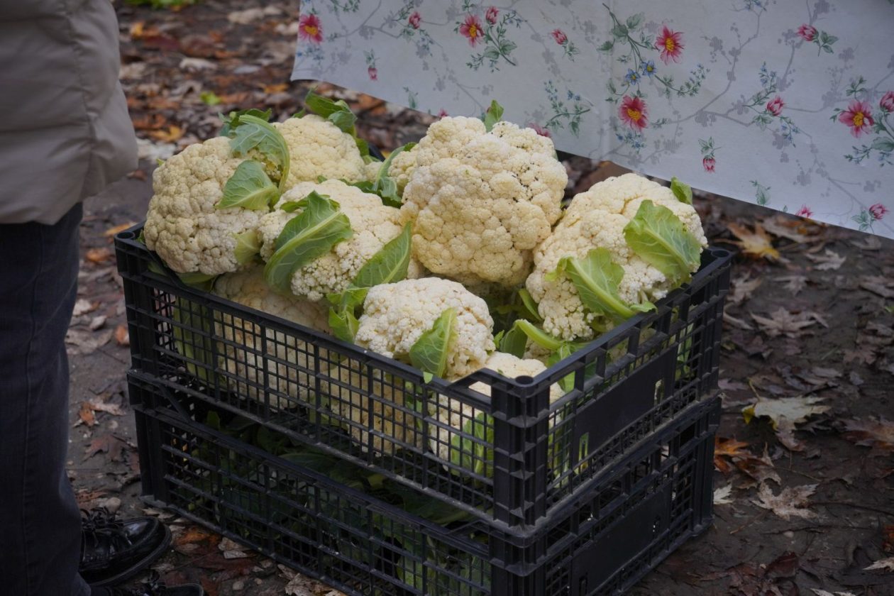 Sajam srijedom 12.11 (46)