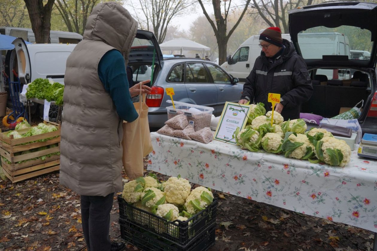 Sajam srijedom 12.11 (47)