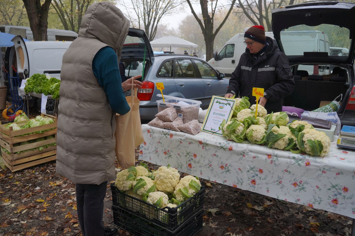 Sajam srijedom 12.11 (47)