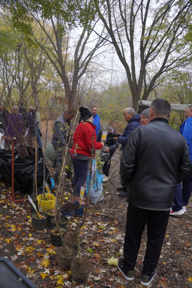 Sajam srijedom 12.11 (49)