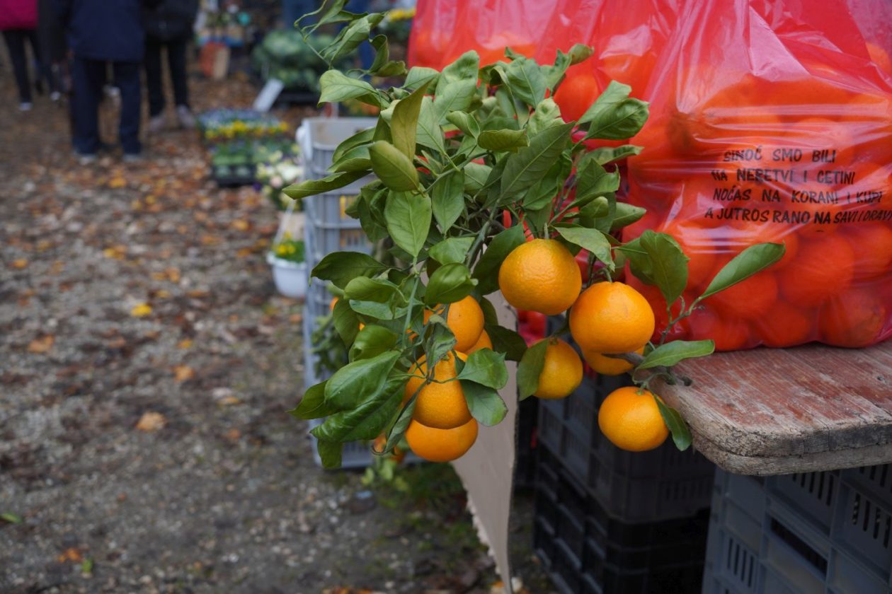 Sajam srijedom 12.11 (6)