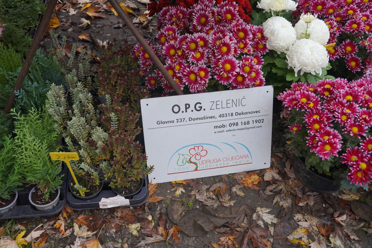 Sajam srijedom 12.11 (7)