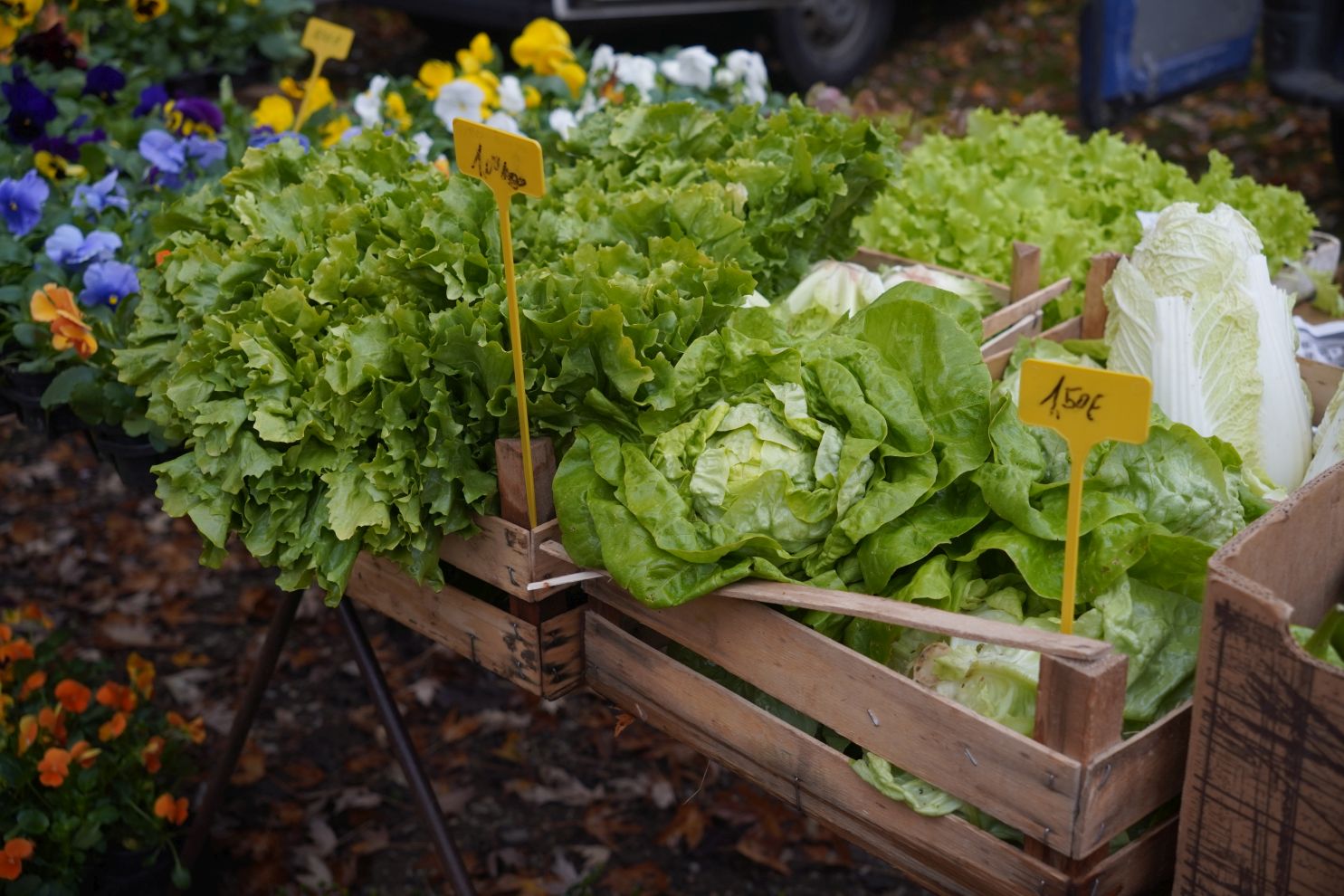 Sajam srijedom 12.11 (8)