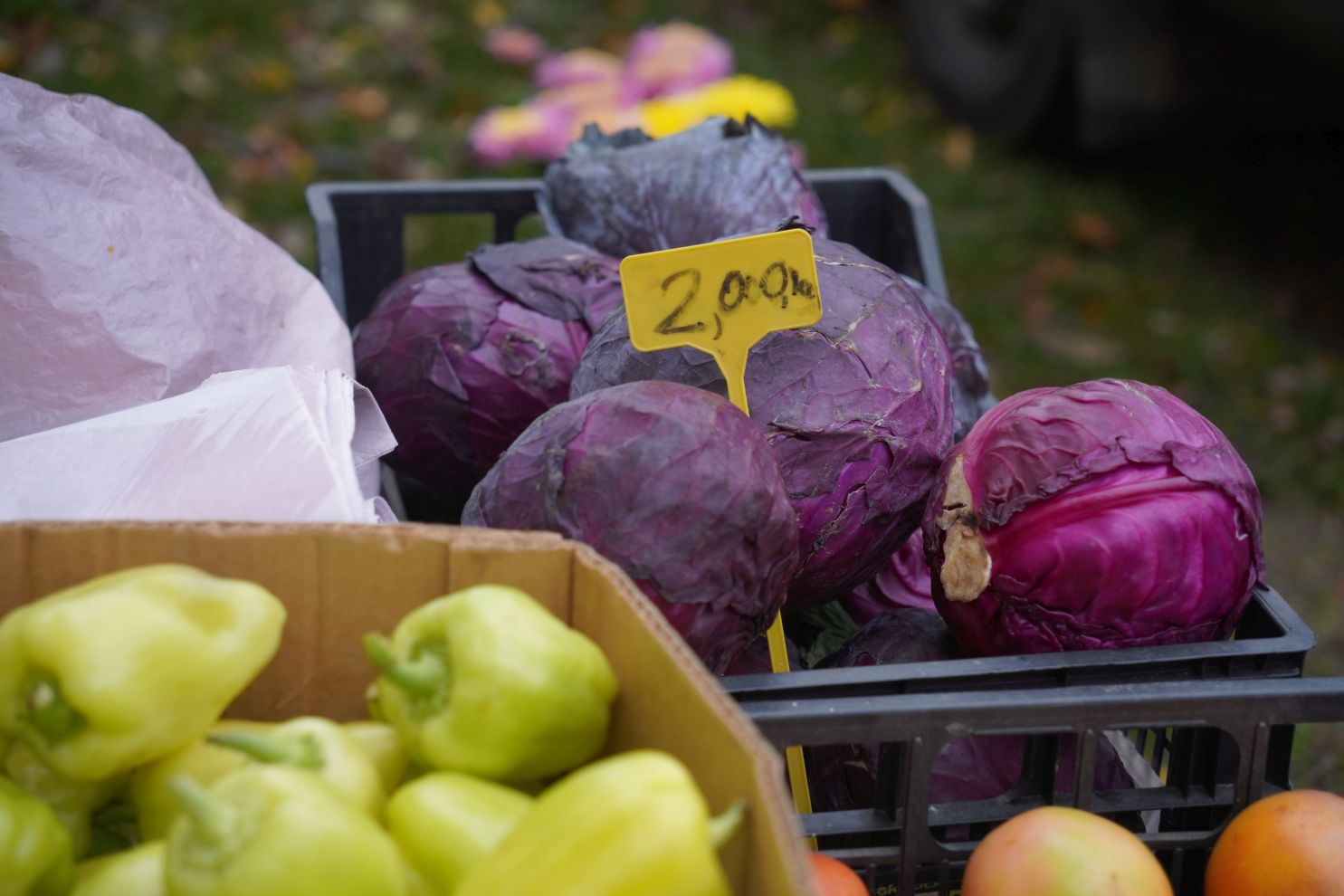 Sajam srijedom 12.11 (9)