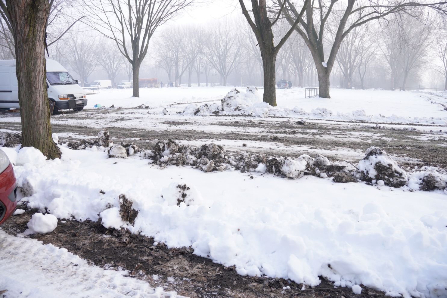Sajam srijedom 14.1.2026 (19)