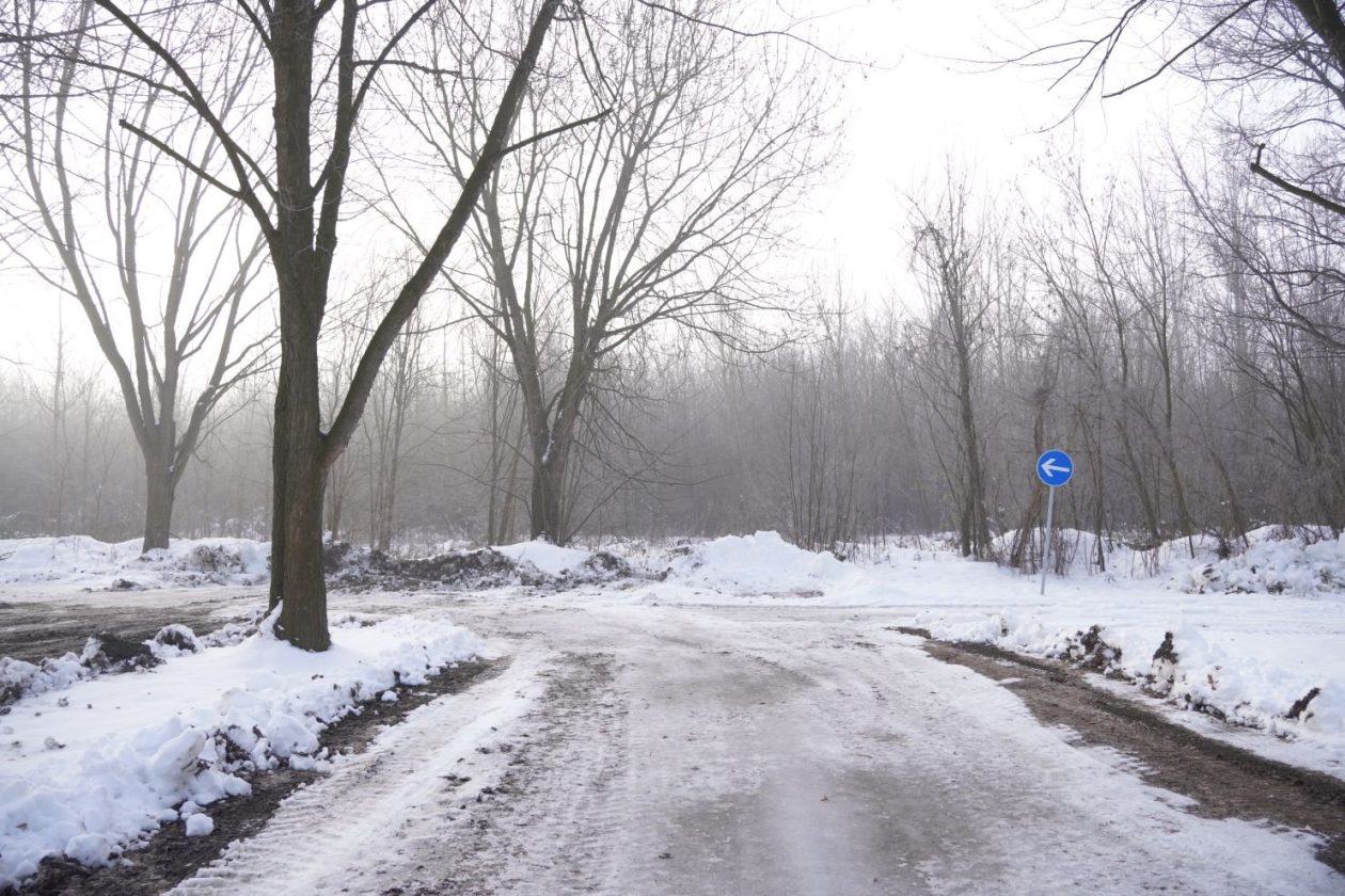 Sajam srijedom 14.1.2026 (20) Sajam srijedom 14.1.2026 (20)