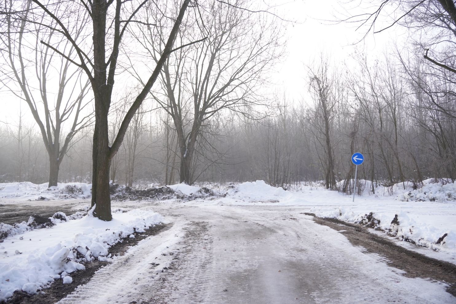 Sajam srijedom 14.1.2026 (20)