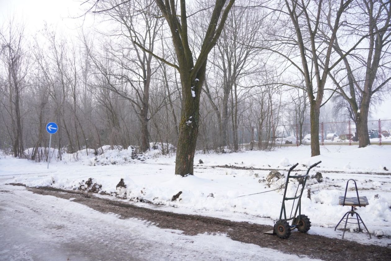 Sajam srijedom 14.1.2026 (21) Sajam srijedom 14.1.2026 (21)