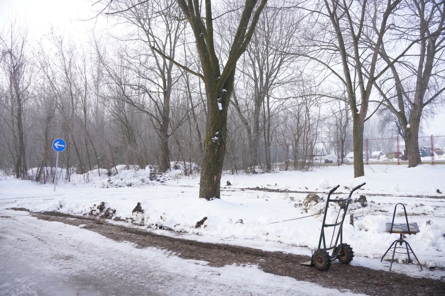 Sajam srijedom 14.1.2026 (21)