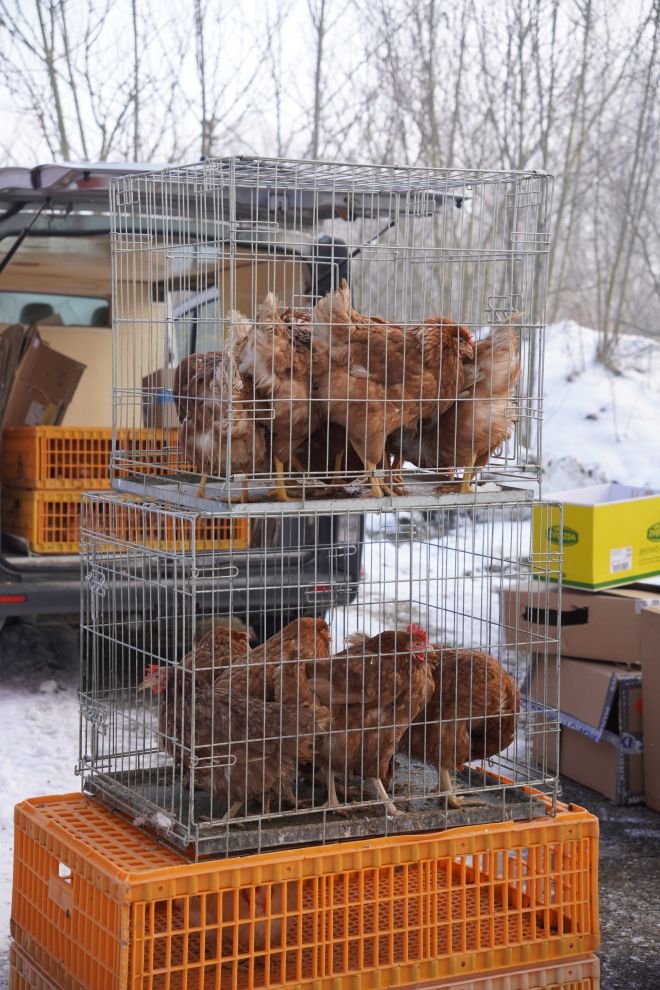 Sajam srijedom 14.1.2026 (29)