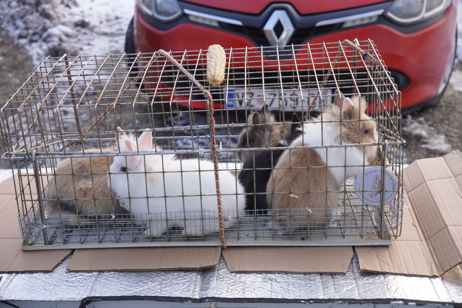 Sajam srijedom 14.1.2026 (30)