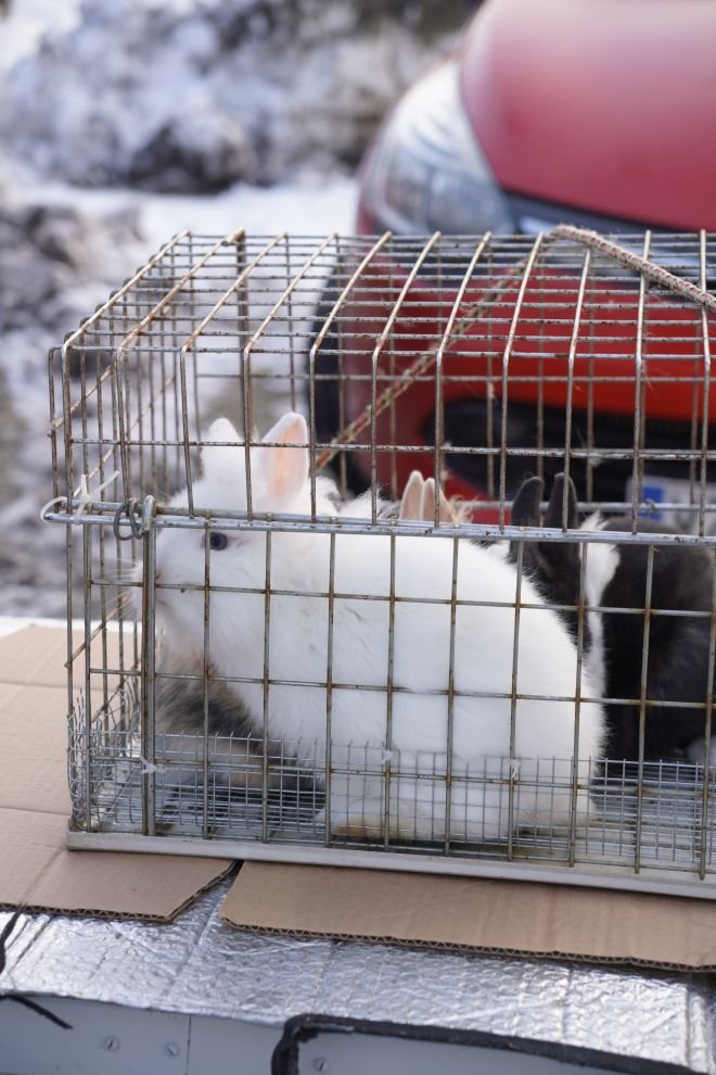 Sajam srijedom 14.1.2026 (31)