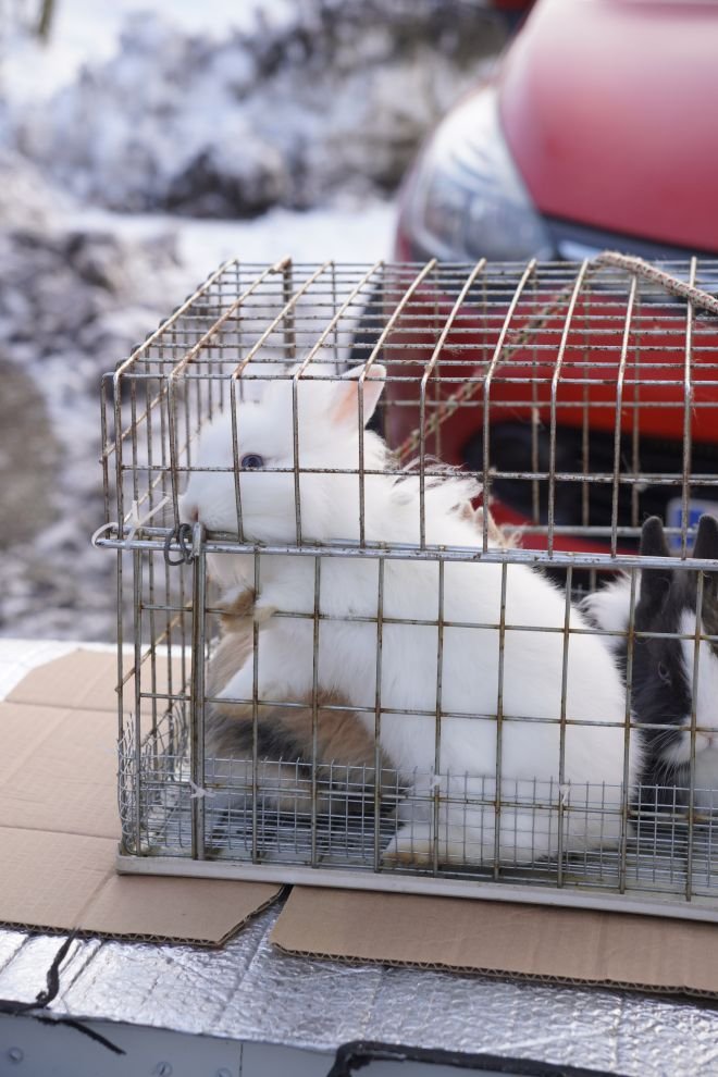 Sajam srijedom 14.1.2026 (32)