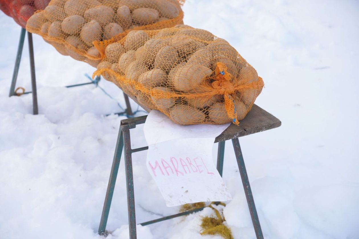 Sajam srijedom 14.1.2026 (4) Sajam srijedom 14.1.2026 (4)