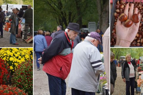 Sajam srijedom 15. 10. 2025.