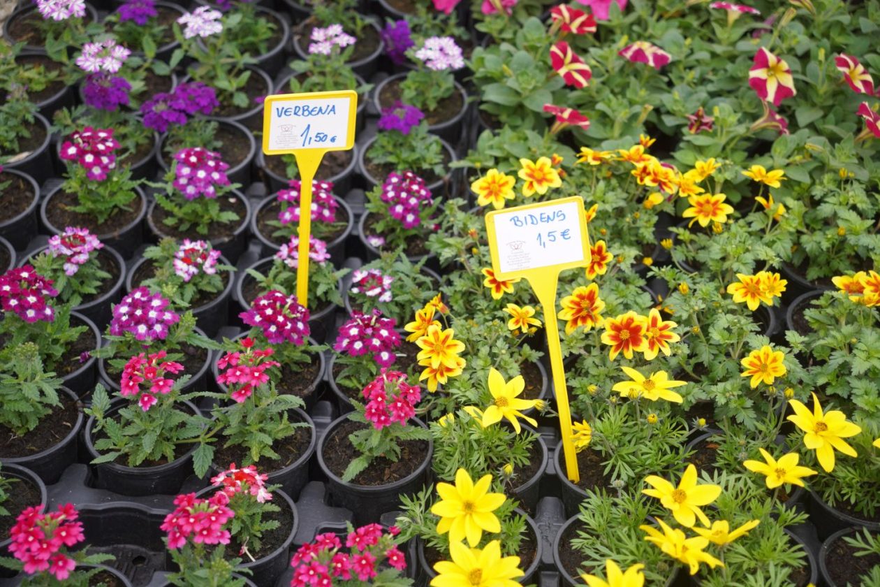 Sajam srijedom 15.4.2026 (11)