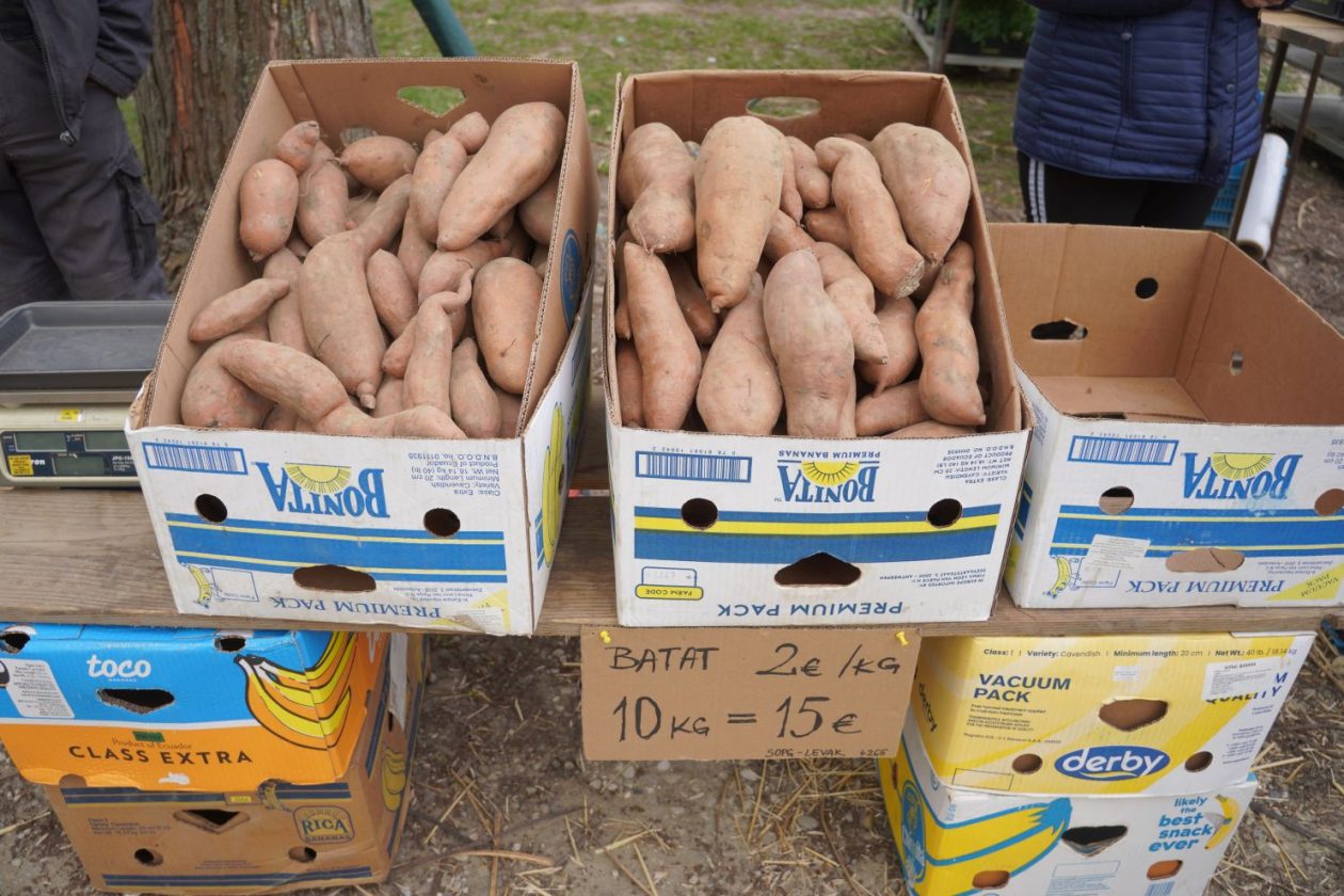 Sajam srijedom 15.4.2026 (13)