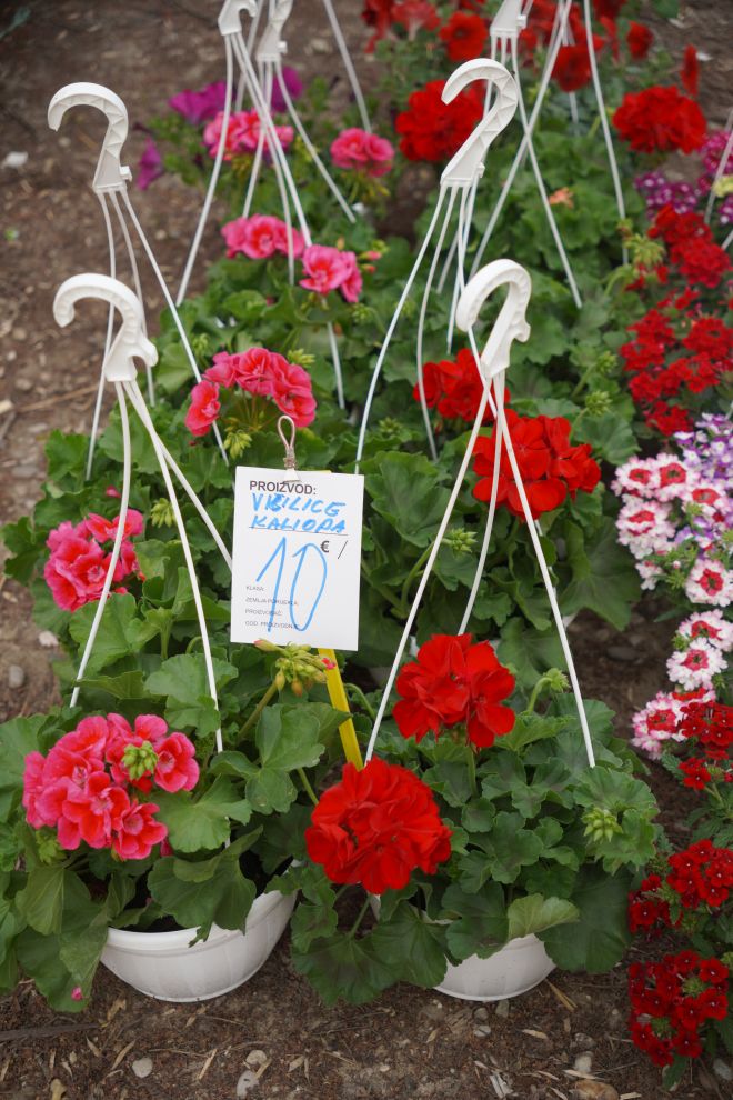 Sajam srijedom 15.4.2026 (18)