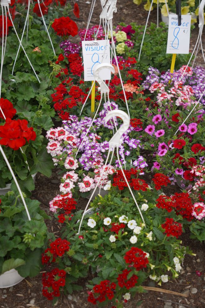 Sajam srijedom 15.4.2026 (19)