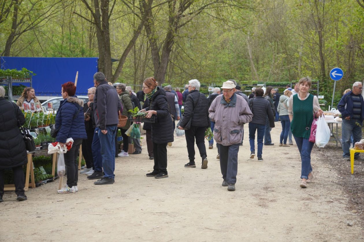 Sajam srijedom 15.4.2026 (23)