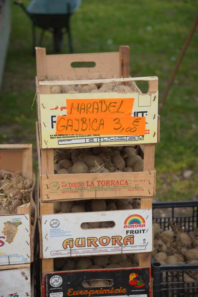 Sajam srijedom 15.4.2026 (28)