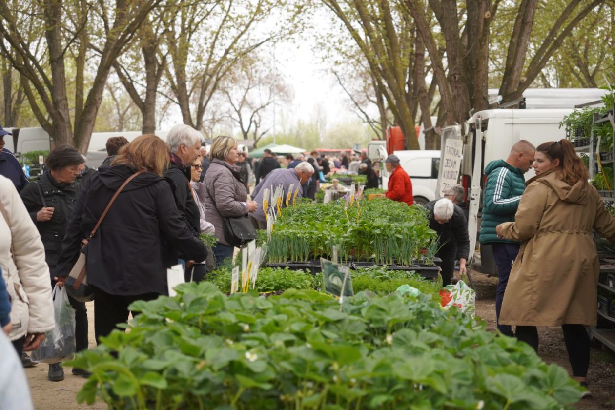 Sajam srijedom 15.4.2026 (47)