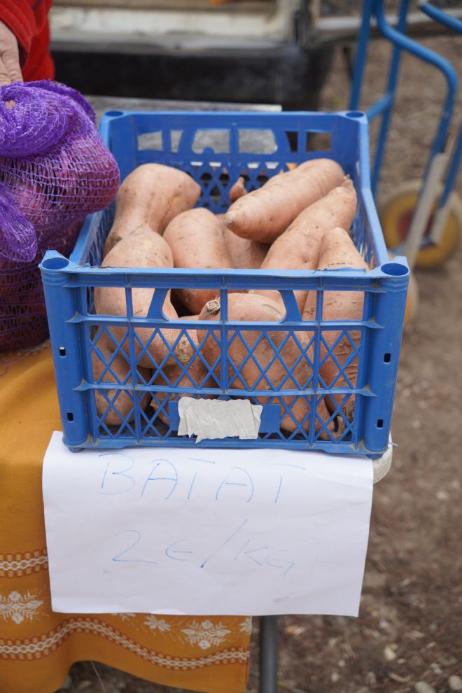 Sajam srijedom 15.4.2026 (50)