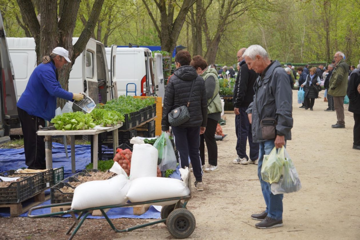 Sajam srijedom 15.4.2026 (53)