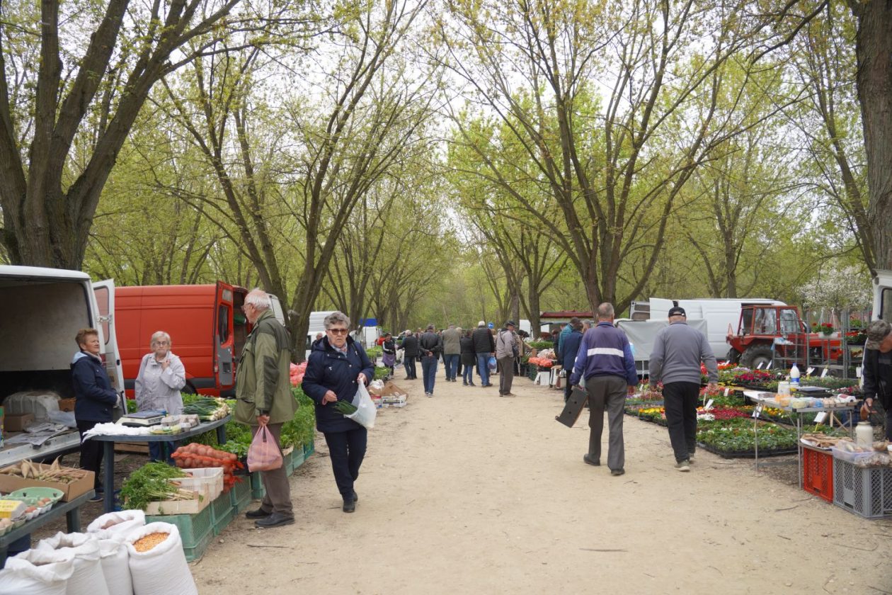 Sajam srijedom 15.4.2026 (57)