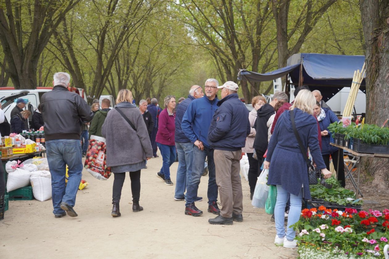 Sajam srijedom 15.4.2026 (9)