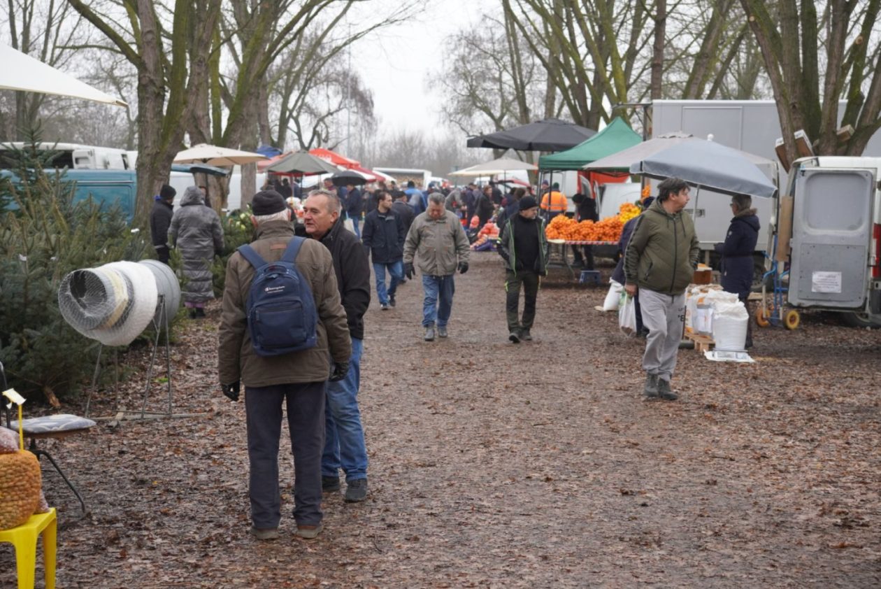 Sajam srijedom 17.12.2025 (1)