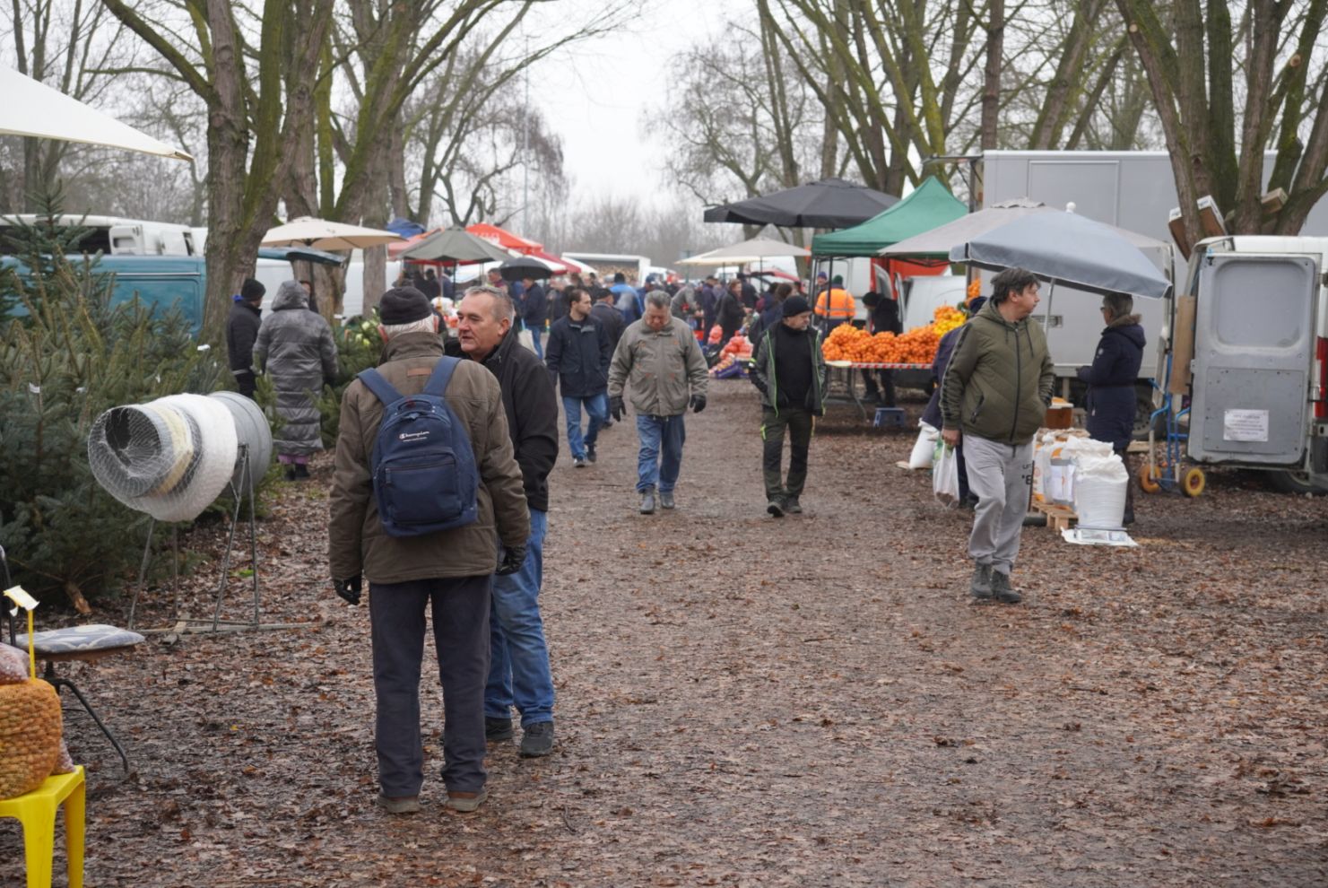 Sajam srijedom 17.12.2025 (1)