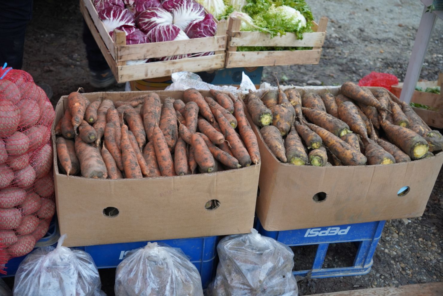 Sajam srijedom 17.12.2025 (18)