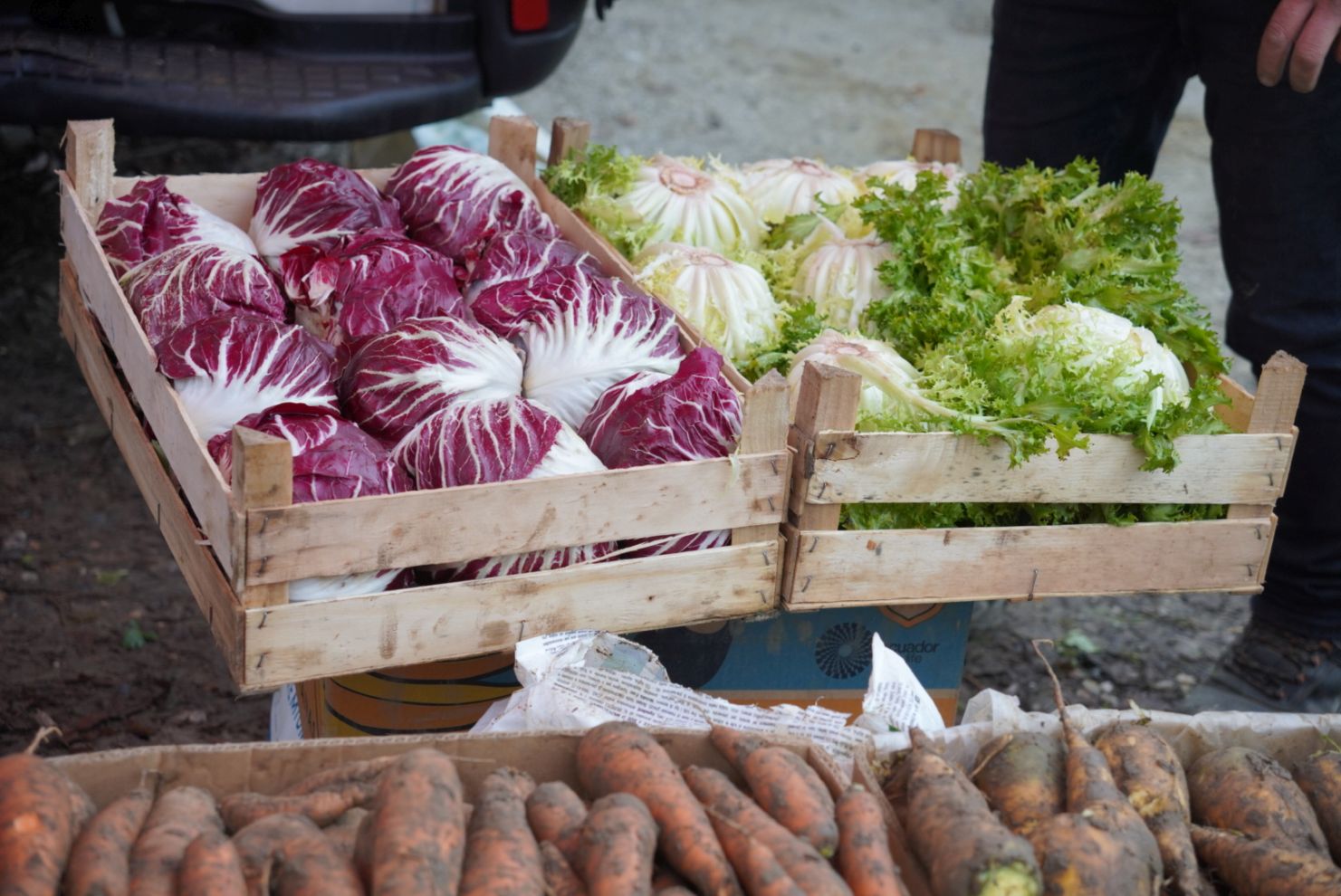 Sajam srijedom 17.12.2025 (19)