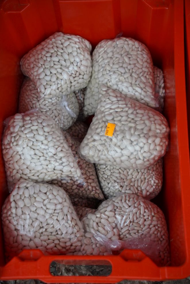 Sajam srijedom 17.12.2025 (2)