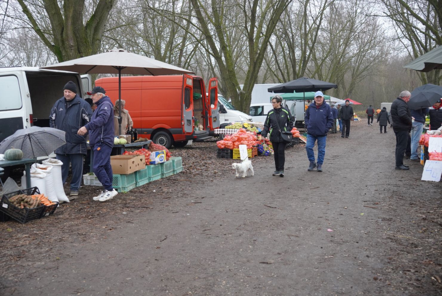 Sajam srijedom 17.12.2025 (27)