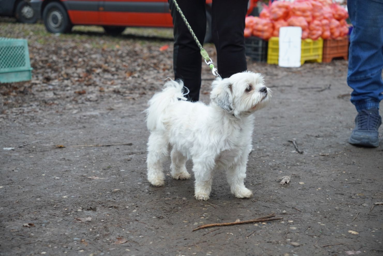 Sajam srijedom 17.12.2025 (31)
